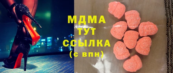шишки Арсеньев