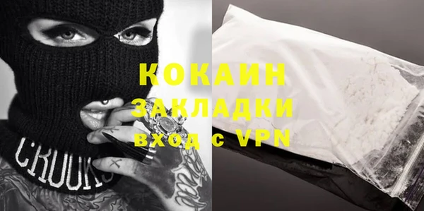 шишки Арсеньев