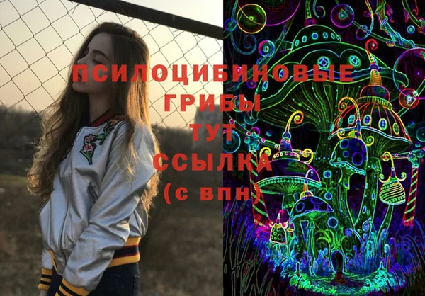 шишки Арсеньев