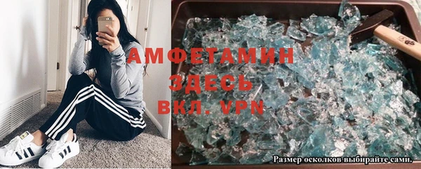 шишки Арсеньев