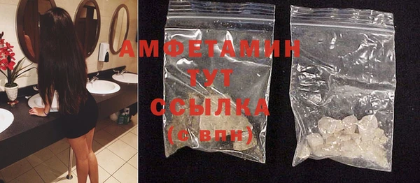шишки Арсеньев