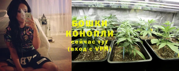 шишки Арсеньев