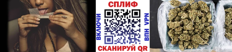 Конопля THC 21%  Полярный 